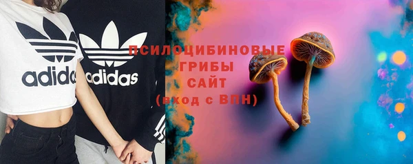 ECSTASY Гусь-Хрустальный