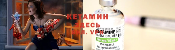 ECSTASY Гусь-Хрустальный