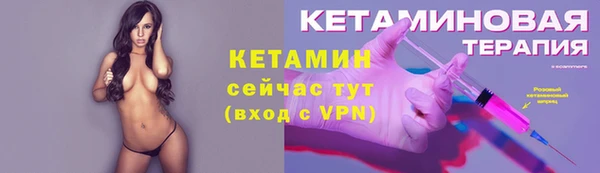 ECSTASY Гусь-Хрустальный
