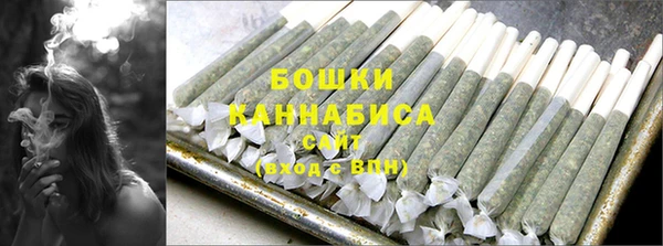 мдпв Горно-Алтайск