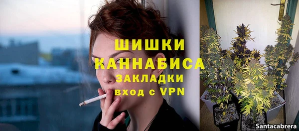 прущая мука Гусев