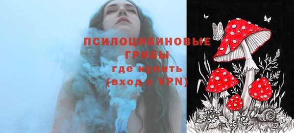 мдпв Горно-Алтайск